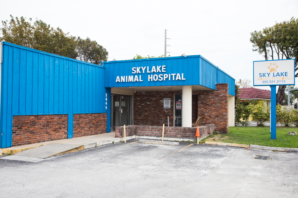 Sky Lake Animal Hospital | 2645 NE Miami Gardens Dr, Miami, FL 33180, USA | Phone: (305) 931-2113