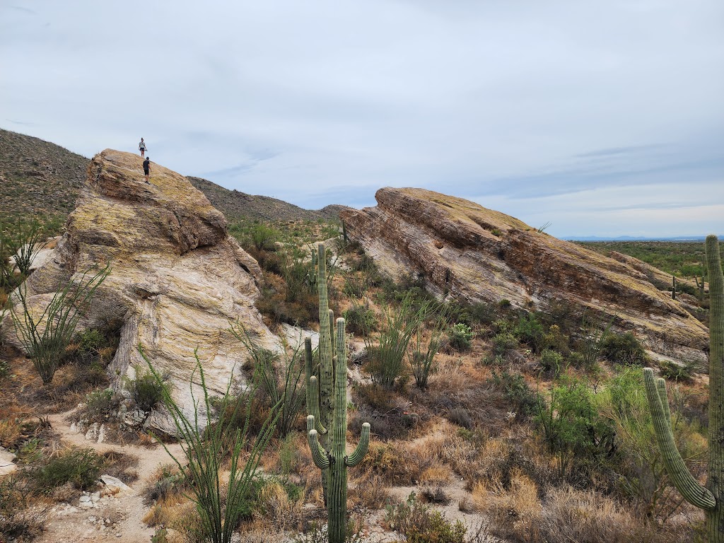 Javelina Rocks | Cactus Forest Dr, Tucson, AZ 85748, USA | Phone: (520) 733-5153