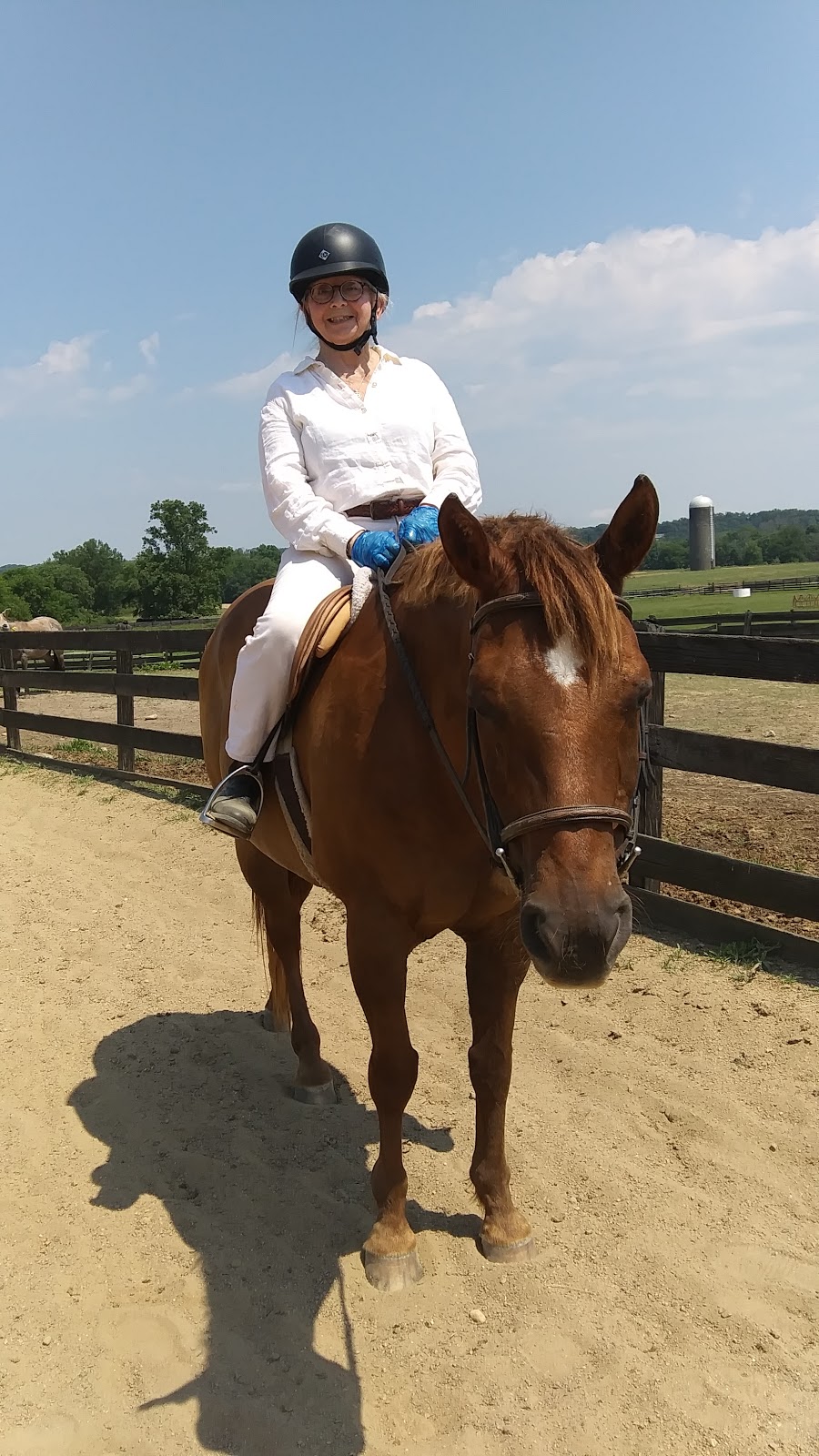 The Riding School at James River Equestrian Center | 414 Huguenot Trail, Midlothian, VA 23113 | Phone: (804) 594-0760