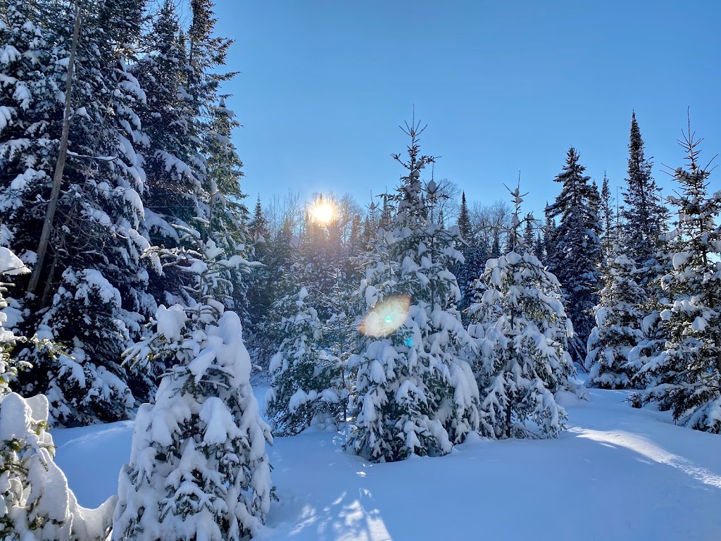 Mont-Tremblant Dogsledding -Traîneau à Chiens Tremblant | 121 Chem. de lAlbatros, Mont-Tremblant, QC J8E 1S1, Canada | Phone: (819) 681-5519