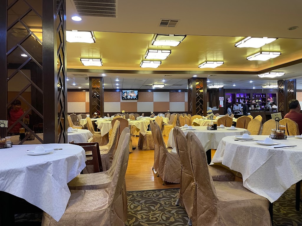 Hong Kong Islander | 5675 Freeport Blvd, Sacramento, CA 95822, USA | Phone: (916) 392-3388