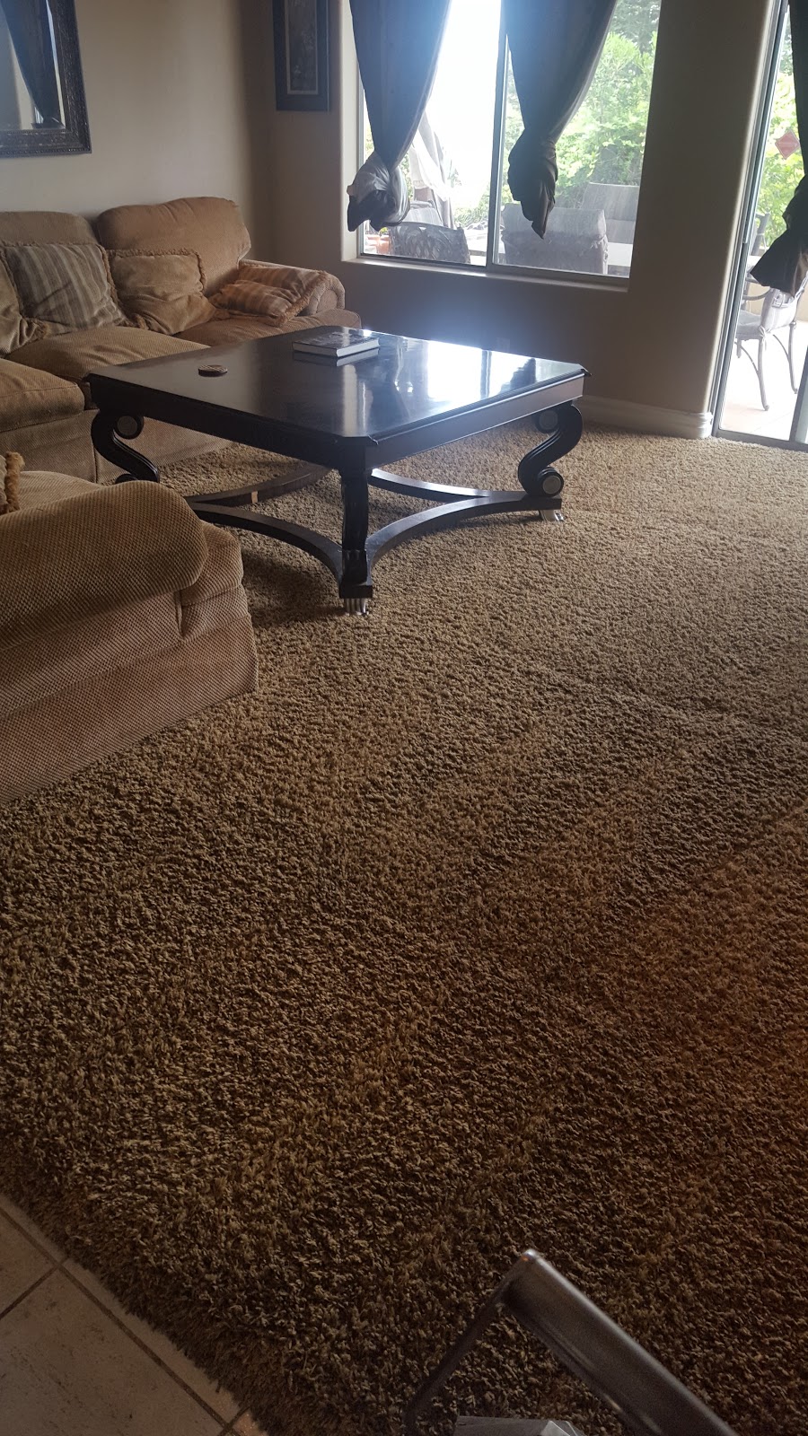 Green master carpet care | Los Angeles, CA 90035, USA | Phone: (424) 249-9803