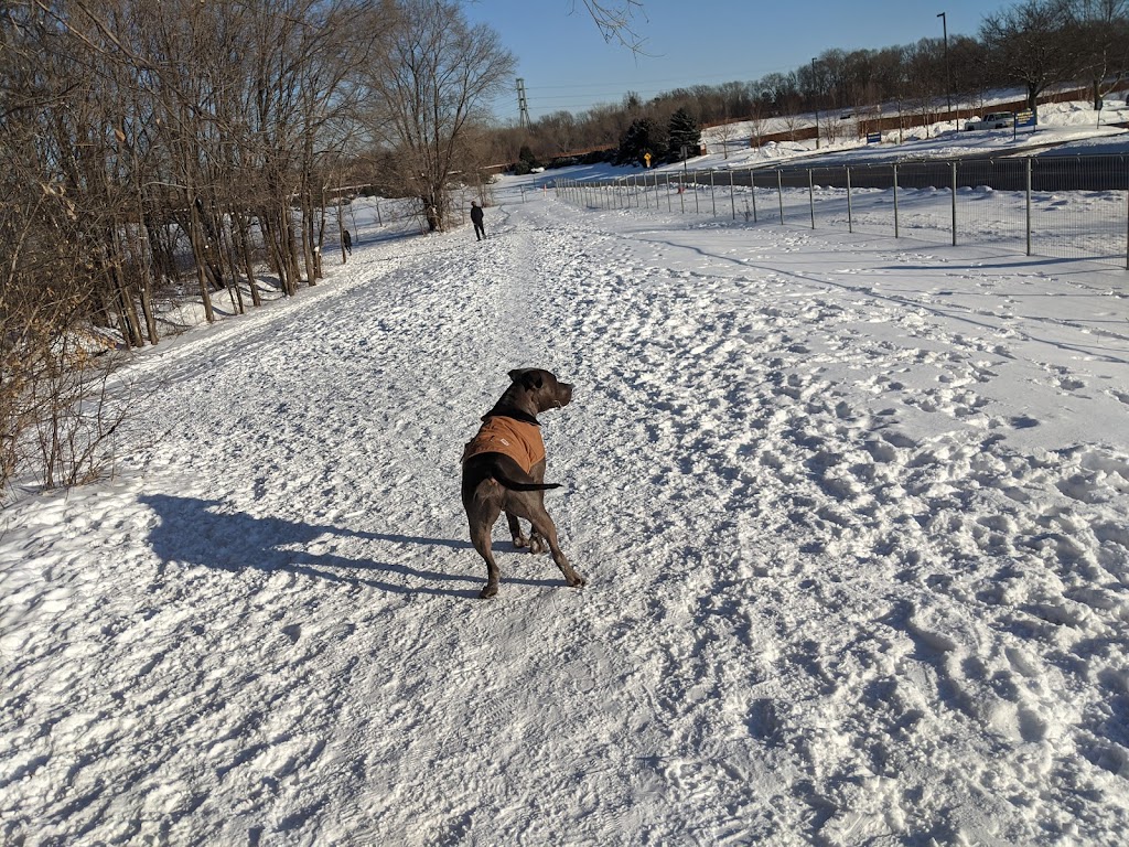 Bloomington Off-leash Dog Park | Nesbitt Ave S & West 110th Street, Bloomington, MN 55438, USA | Phone: (952) 563-8877