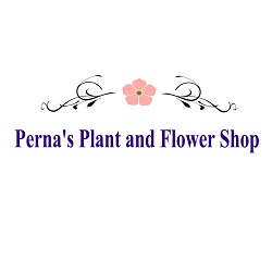 Pernas Plant and Flower Shop - Princeton Flower Delivery | 189 Washington Rd, Princeton, NJ 08540, United States | Phone: (609) 452-1383