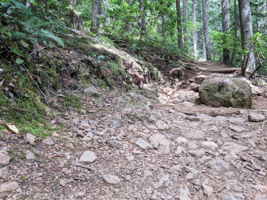 Mt. Walker Lower Trailhead | Quilcene, WA 98376, USA | Phone: (360) 765-2200