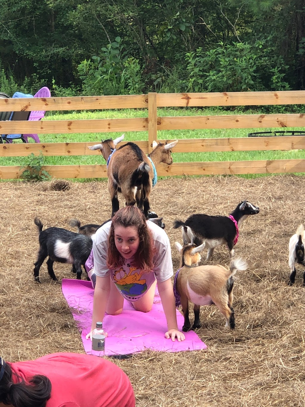 Goat Yoga Bham | 1441 Co Rd 277, Helena, AL 35080, USA | Phone: (205) 329-3701