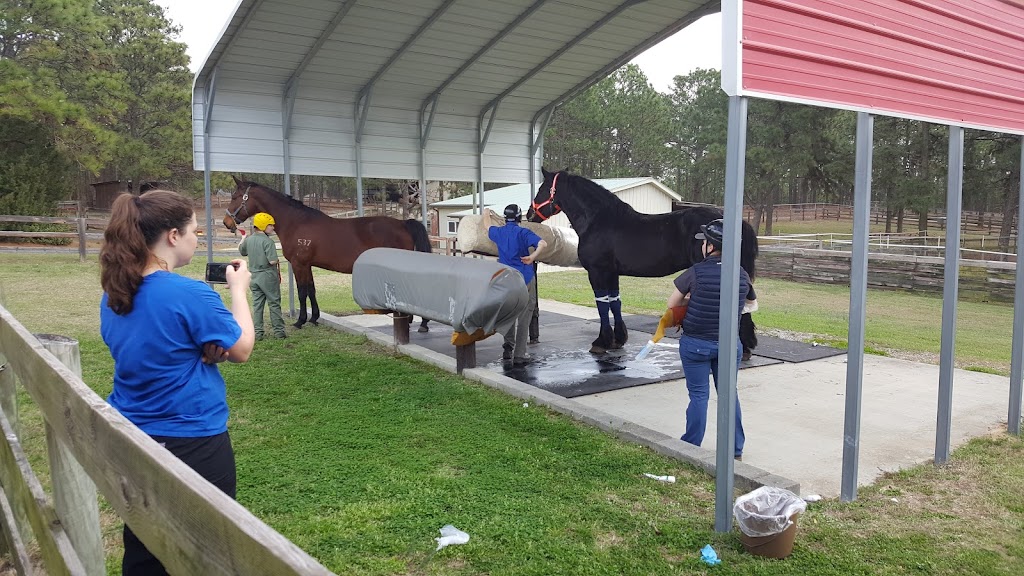 NC State Equine Health Center | 6045 US-1, Vass, NC 28394, USA | Phone: (910) 692-8773