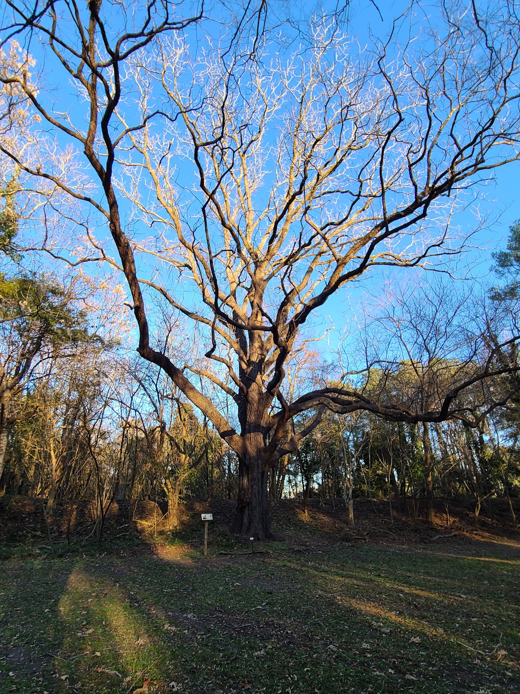 Fort Boykin | 7410 Fort Boykin Trail, Smithfield, VA 23430, USA | Phone: (757) 357-0115