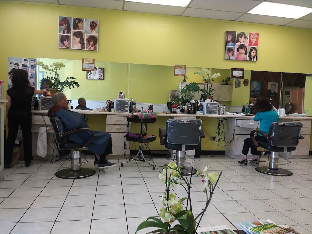 High Life Beauty Salon | 1611 Flickinger Ave, San Jose, CA 95131, USA | Phone: (408) 729-4921