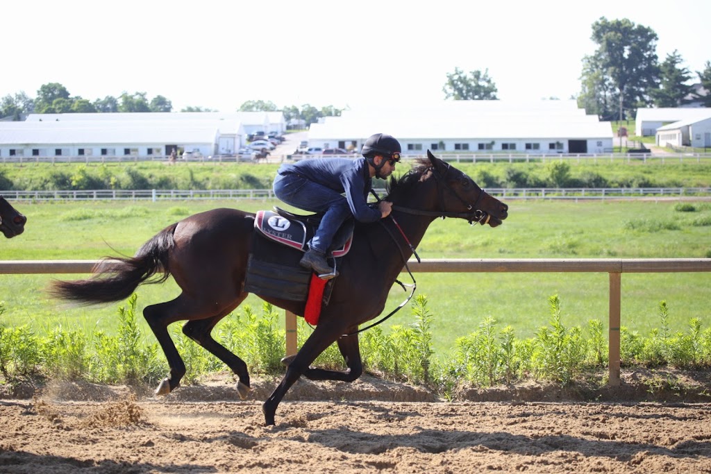 The Thoroughbred Center | 3380 Paris Pike, Lexington, KY 40511, USA | Phone: (859) 293-1853