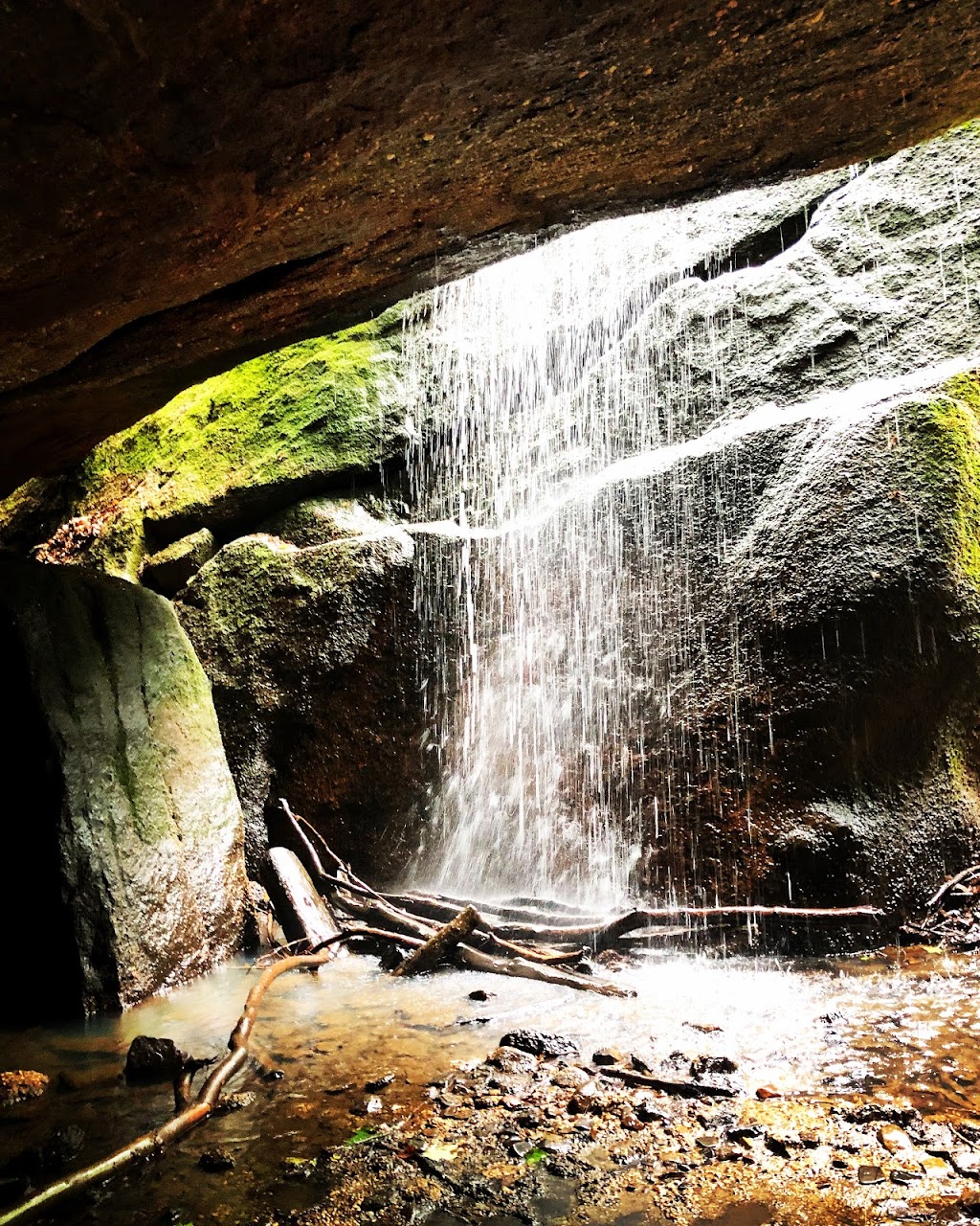 Nelson-Kennedy Ledges State Park | 12440 OH-282, Garrettsville, OH 44231, USA | Phone: (330) 235-0030