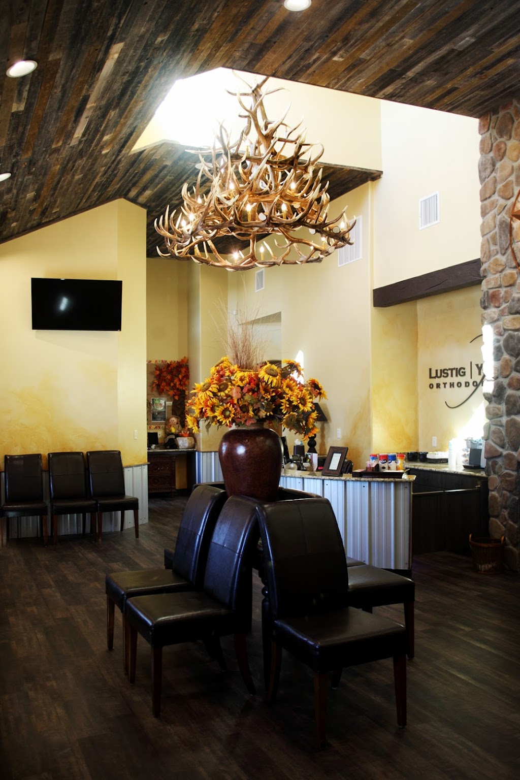 Lustig & Young Orthodontics | 8450 Park Vista Blvd, Fort Worth, TX 76137, USA | Phone: (817) 514-1717