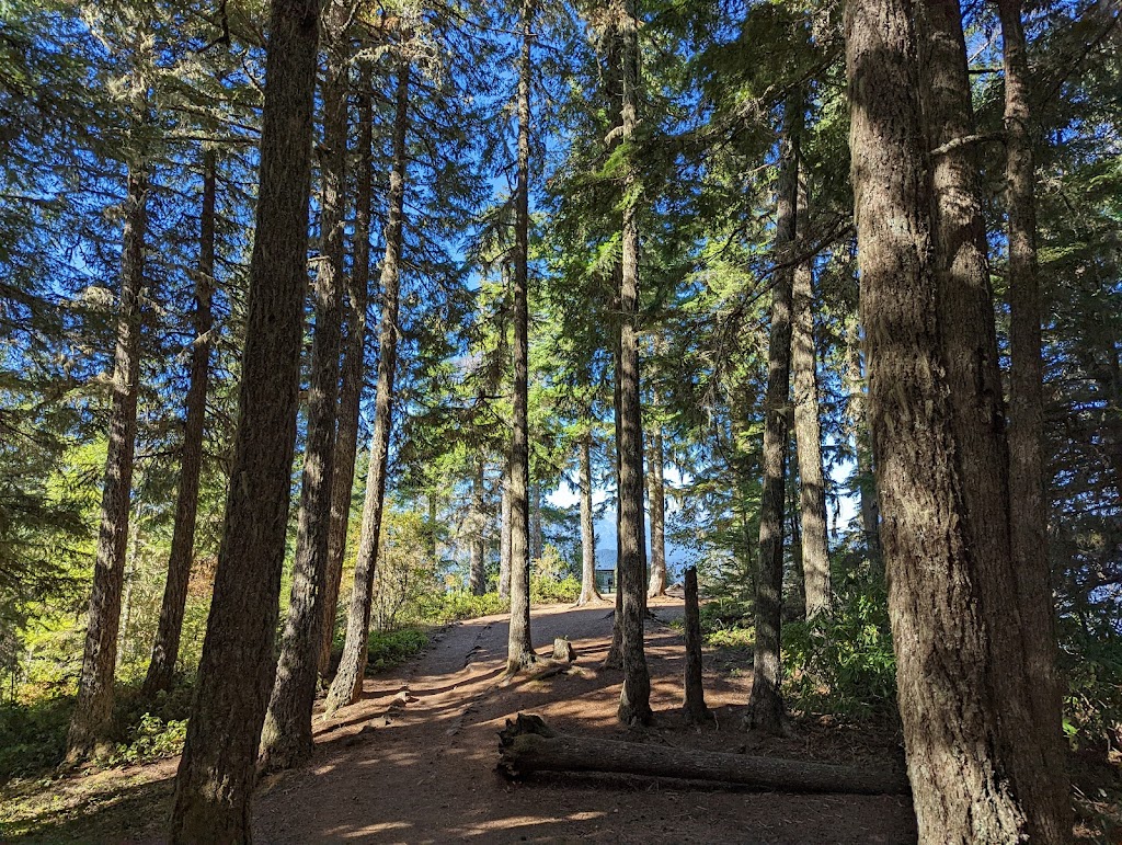 Mt. Walker Viewpoint | Mt Walker Lookout Rd, Brinnon, WA 98320, USA | Phone: (360) 956-2402