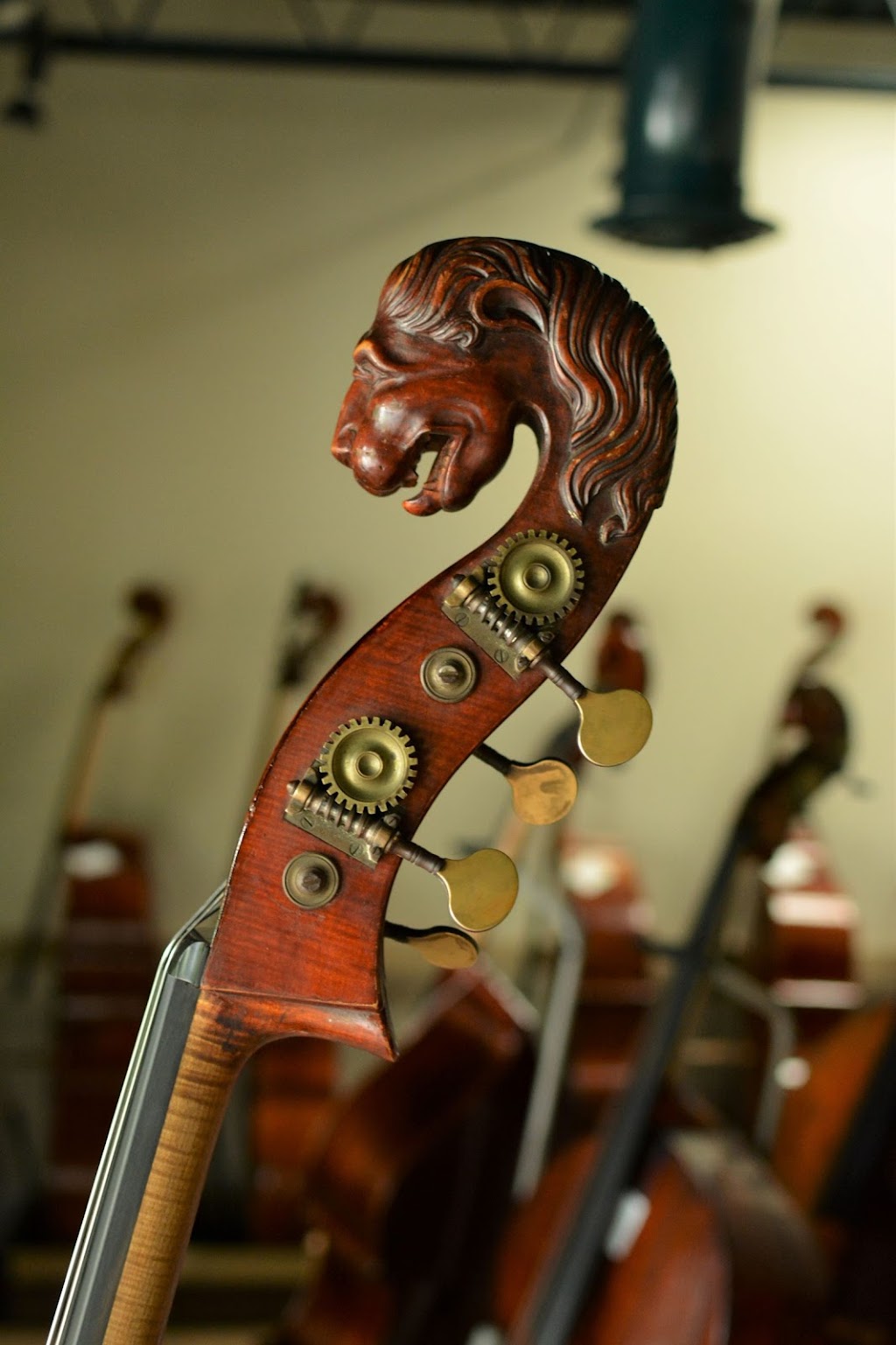 Bass Violin Shop | 523 N Cedar St, Greensboro, NC 27401, USA | Phone: (336) 272-2877