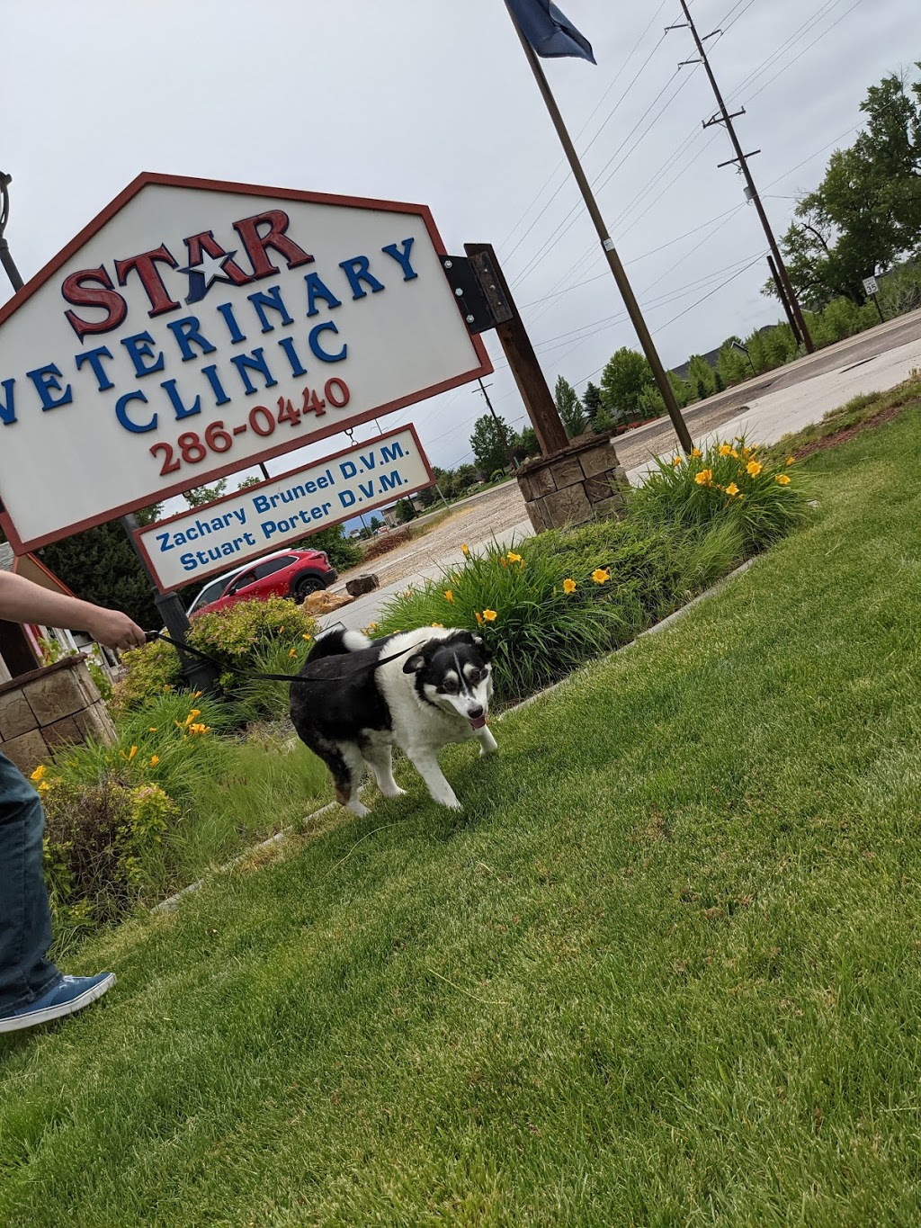 Star Veterinary Clinic | 10334 W State St, Star, ID 83669, USA | Phone: (208) 286-0440