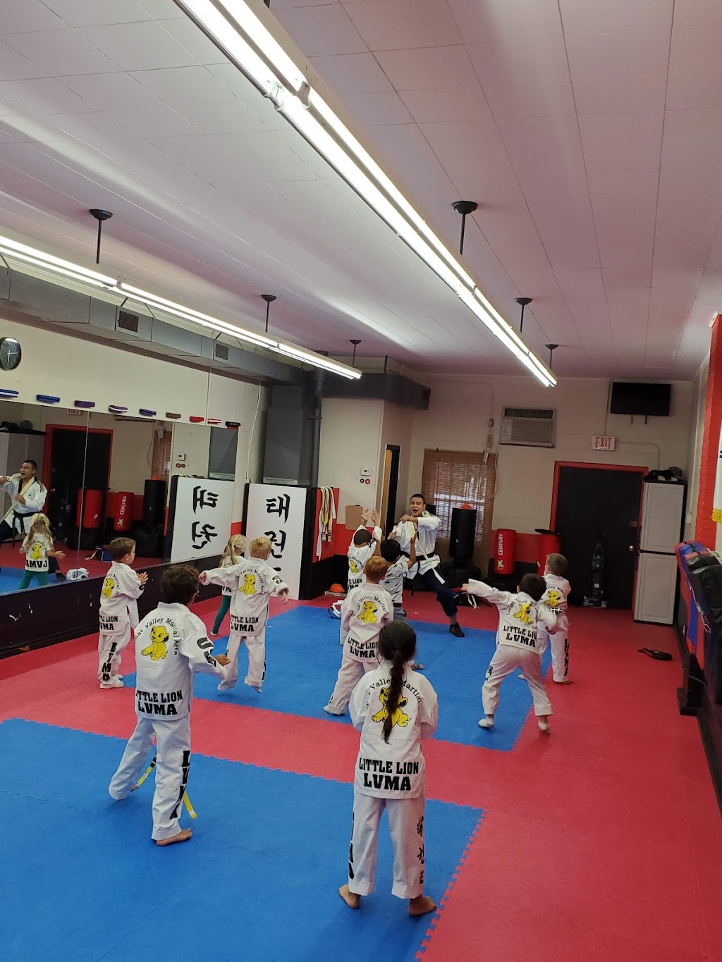 Locust Valley Martial Arts Long Island | 196 Forest Ave, Locust Valley, NY 11560, USA | Phone: (516) 671-1715