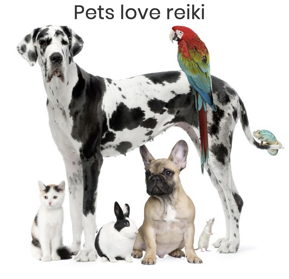 love studio reiki | 15613 Piedmont Park Dr, Prosper, TX 75078, USA | Phone: (469) 715-2624