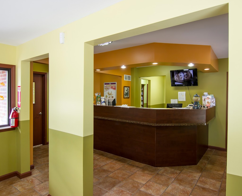 Northville Animal Hospital | 16795 Northville Rd, Northville, MI 48168, USA | Phone: (248) 348-2220