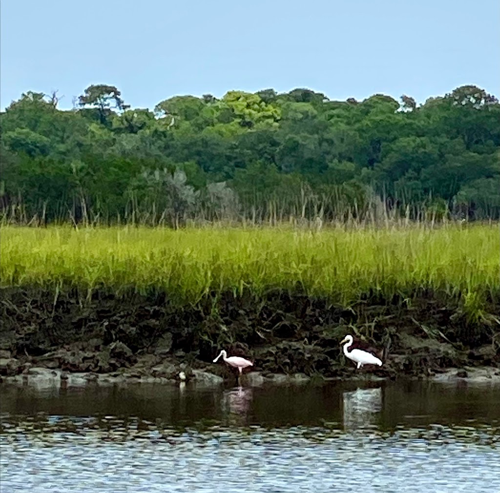 Airboat Rides Near Me/Crazy Fish Airboat Tours | 4852 Ocean St, Atlantic Beach, FL 32233, USA | Phone: (904) 495-4200