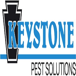 Keystone Pest Solutions, LLC | 1151 Four Star Dr Suite 1, Mount Joy, PA 17552, United States | Phone: (717) 653-1068