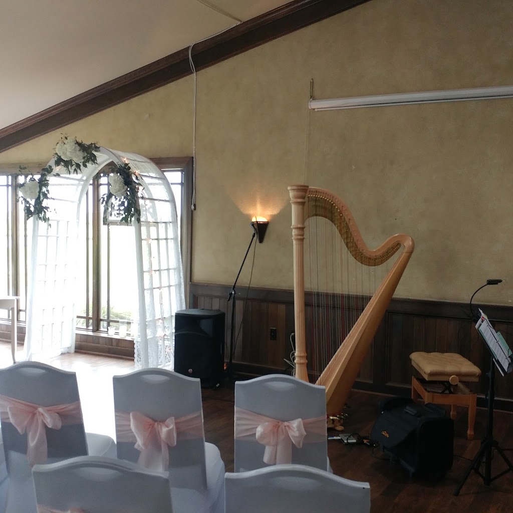 Harpist - Peaceful Harp DFW Irene Lee | 3913 Bamberg Ln, Keller, TX 76244, USA | Phone: (817) 455-5552