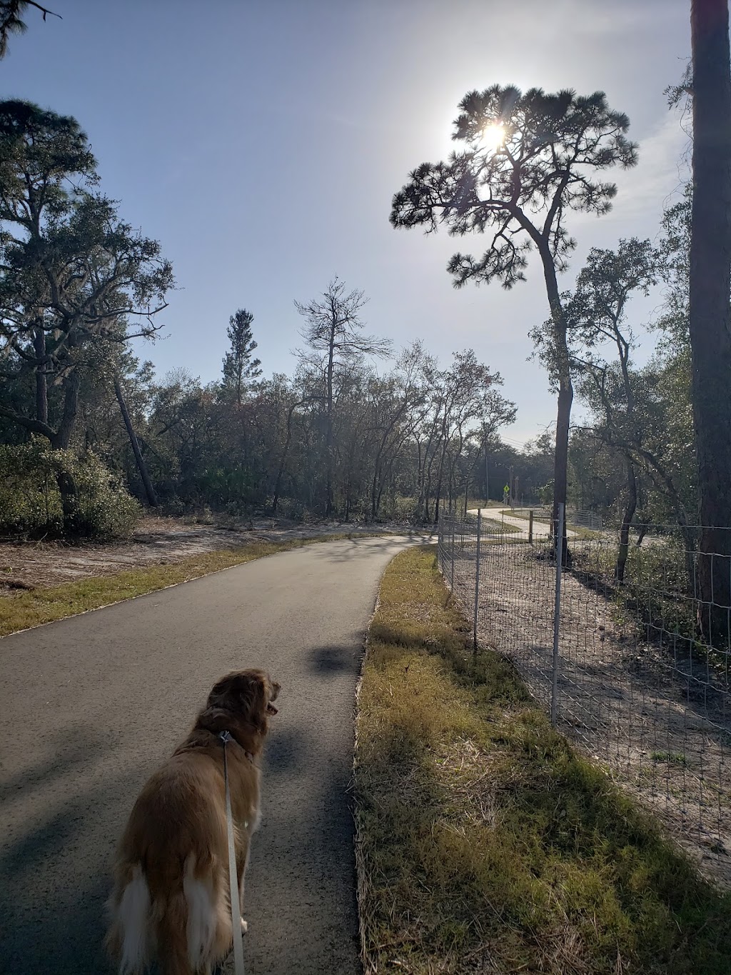 Coastal Anclote Trail | Anclote, Coastal Trail, Holiday, FL 34691, USA | Phone: (727) 938-2598