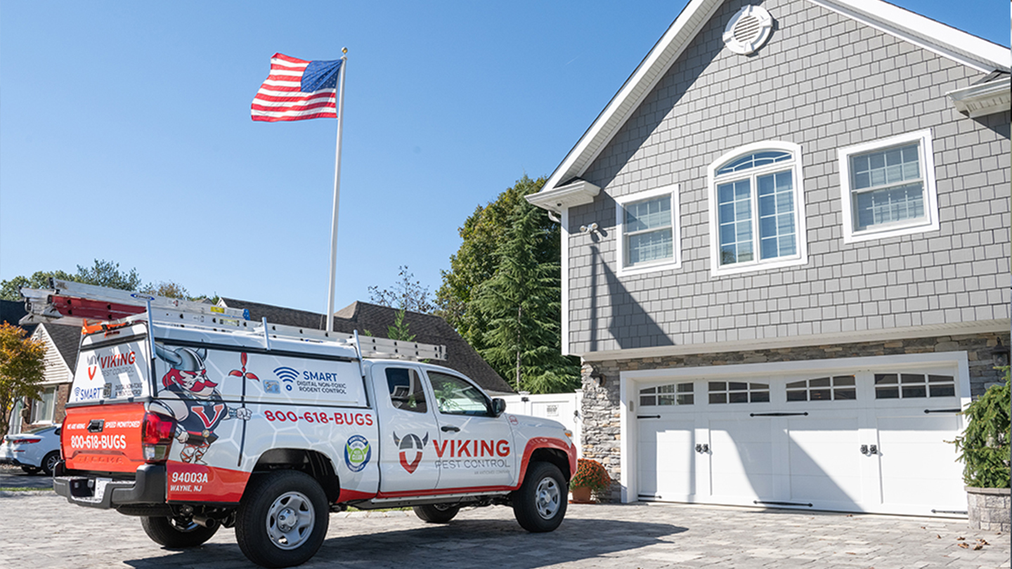 Viking Pest Control | 6715 Delilah Rd, Egg Harbor Township, NJ 08234 | Phone: (800) 618-2847