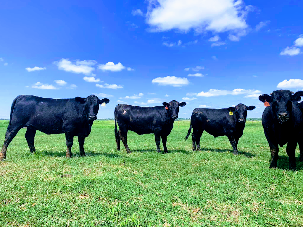 S/Y Beef Market | 16490 OK-20, Claremore, OK 74017 | Phone: (918) 341-2200