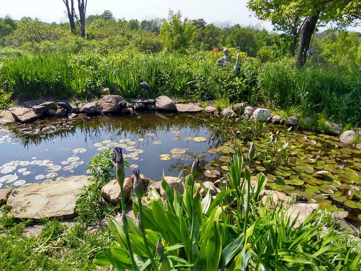 Greystone Nature Preserve | 8531 Bear Lake Rd, Fredonia, NY 14063, USA | Phone: (716) 679-6603