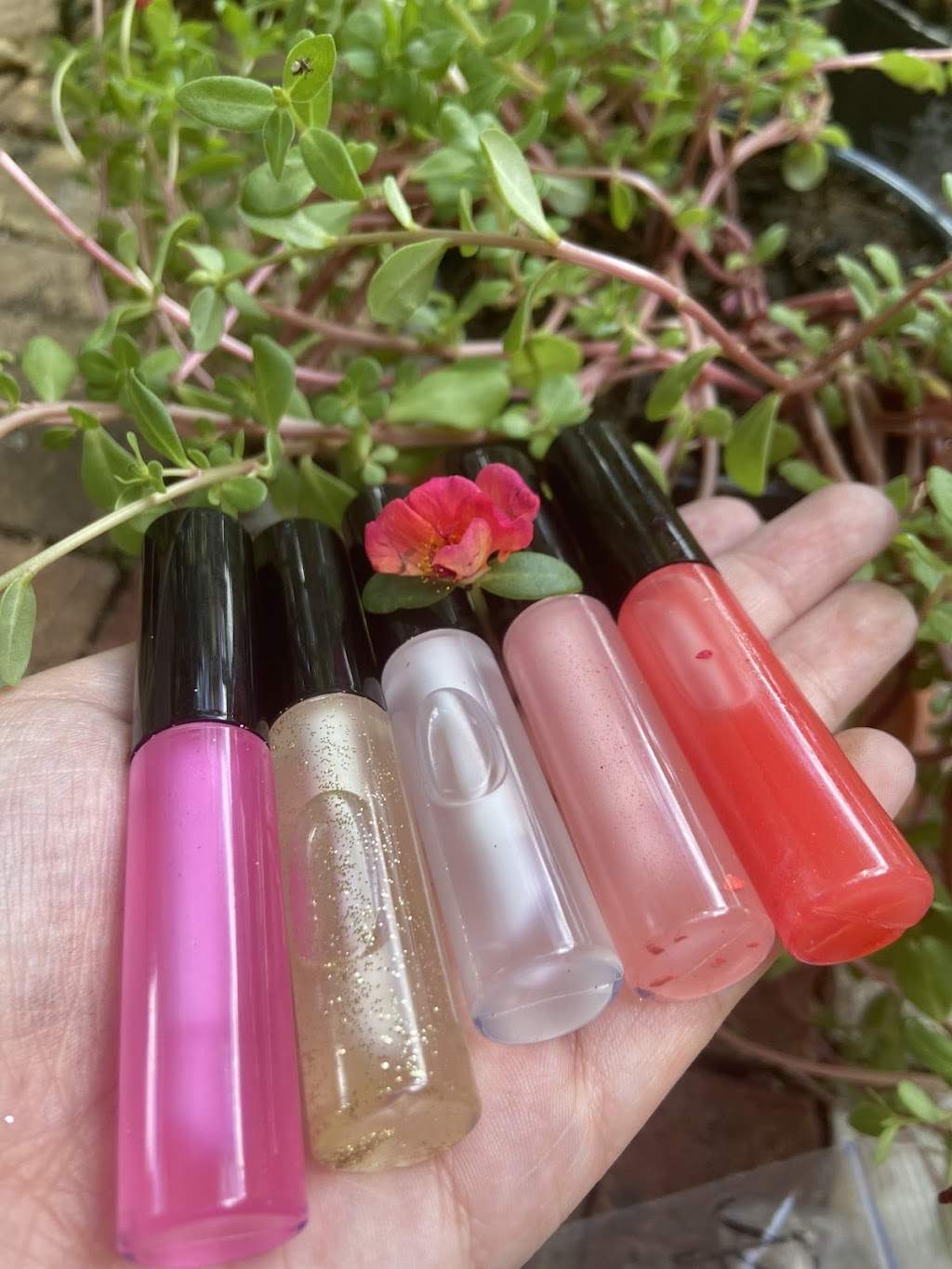 Oleander Lips Pickup | 7040 Town Bluff Dr, Dallas, TX 75248, USA | Phone: (214) 335-2635