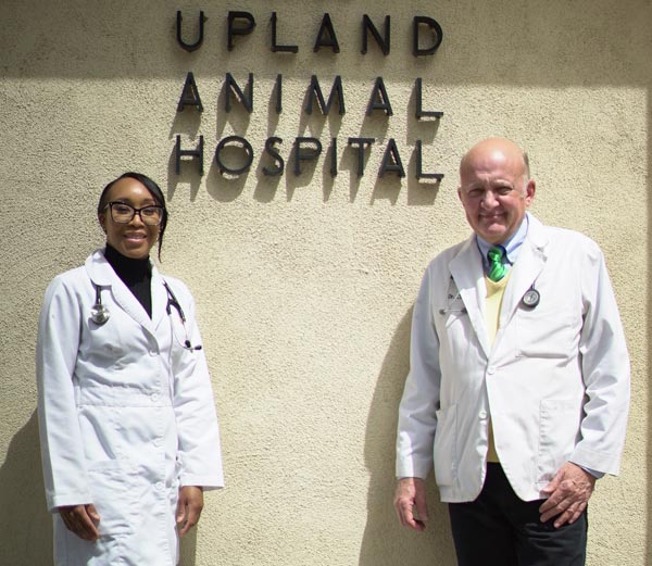 Upland Animal Hospital | 8763 Grove Ave, Rancho Cucamonga, CA 91730, USA | Phone: (909) 982-8854