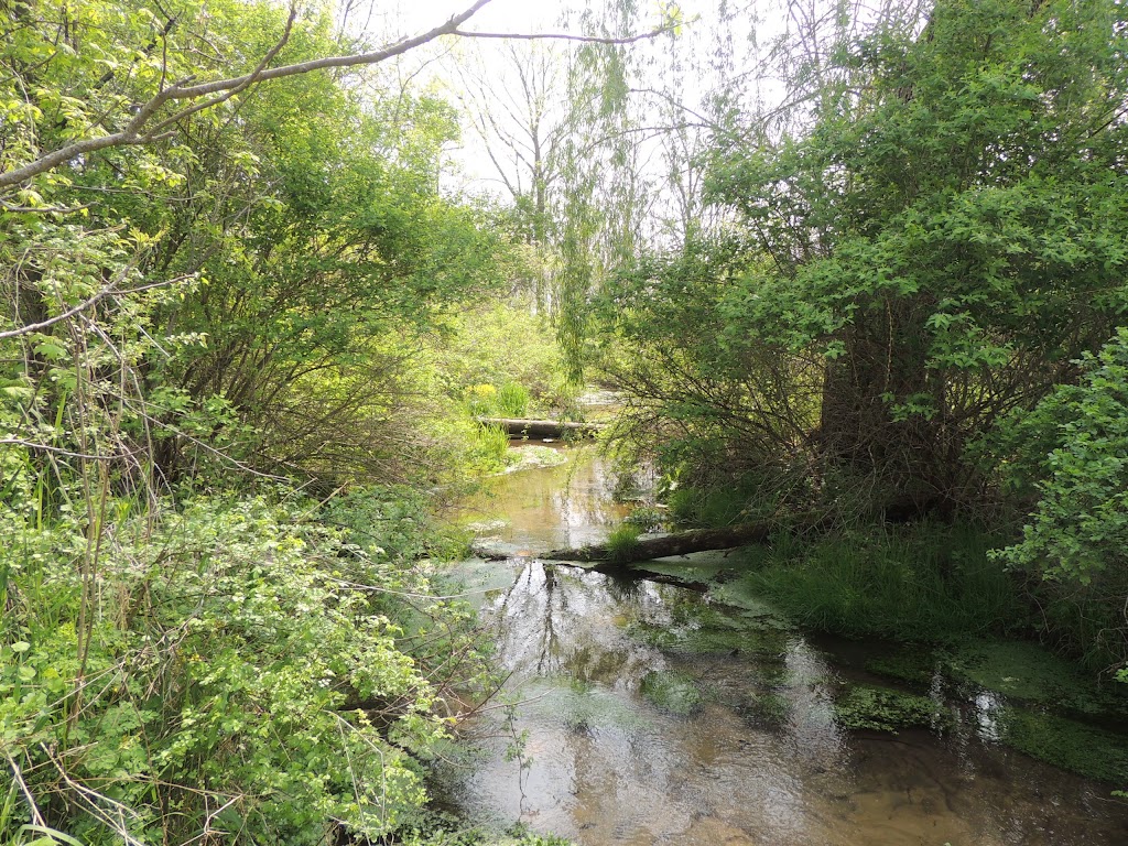 Cadiz Springs State Recreation Area | N2241 Cadiz Springs Rd, Browntown, WI 53522, USA | Phone: (608) 966-3777