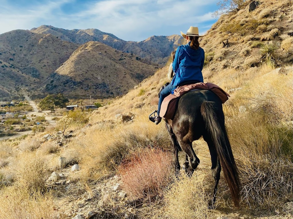 Panorama Pass | 49649 29 Palms Hwy Unit 355, Morongo Valley, CA 92256, USA | Phone: (866) 922-5602