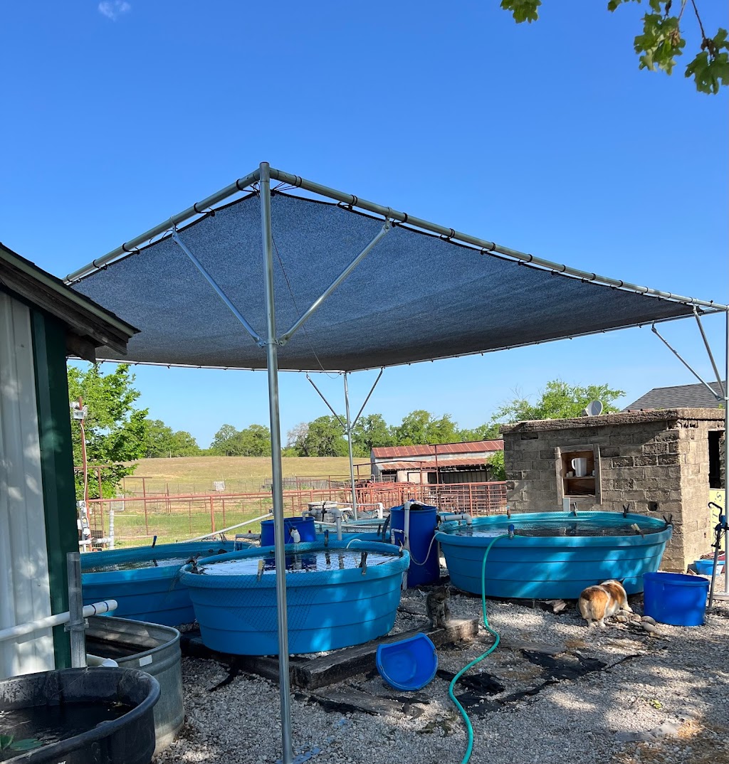 Clear Fork Koi & Pond Construction | 150 Toto Rd, Weatherford, TX 76088, USA | Phone: (817) 613-7838