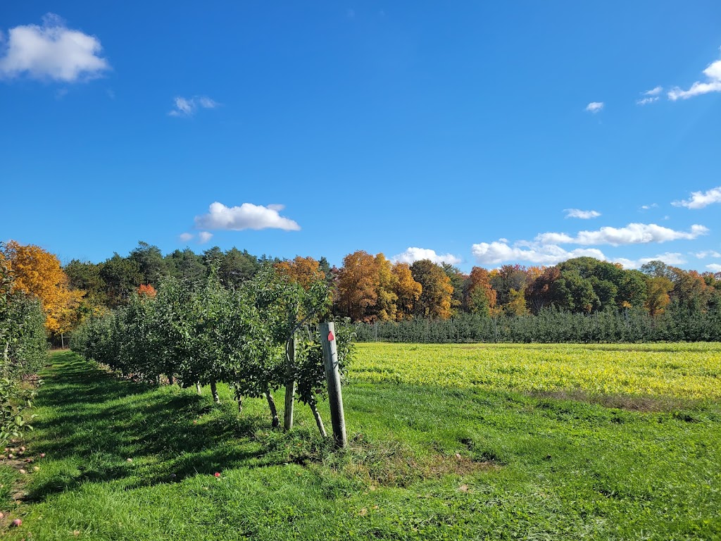 Bowman Orchards | 147 Sugar Hill Rd, Rexford, NY 12148, USA | Phone: (518) 371-2042