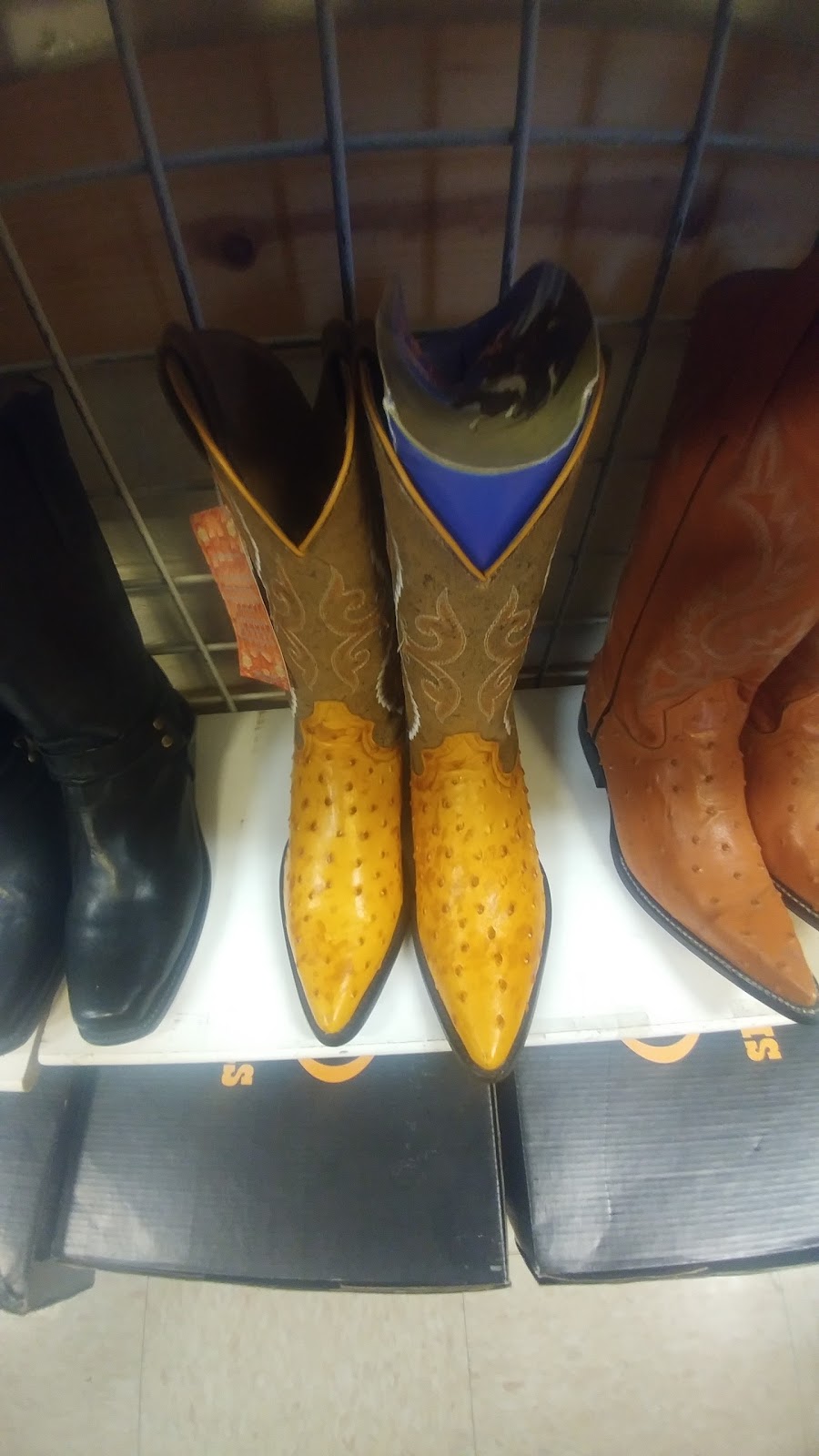 Perrona Mega Store | 2312 N 16th St, Phoenix, AZ 85006, USA | Phone: (602) 252-2119