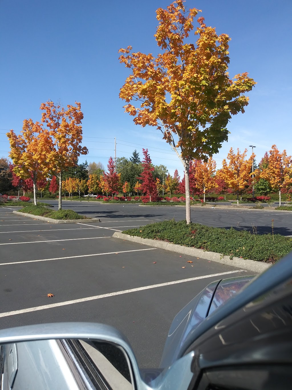 Twin Lakes Park & Ride | SW 344th St & 21st Ave SW, Federal Way, WA 98023, USA | Phone: (206) 553-3000