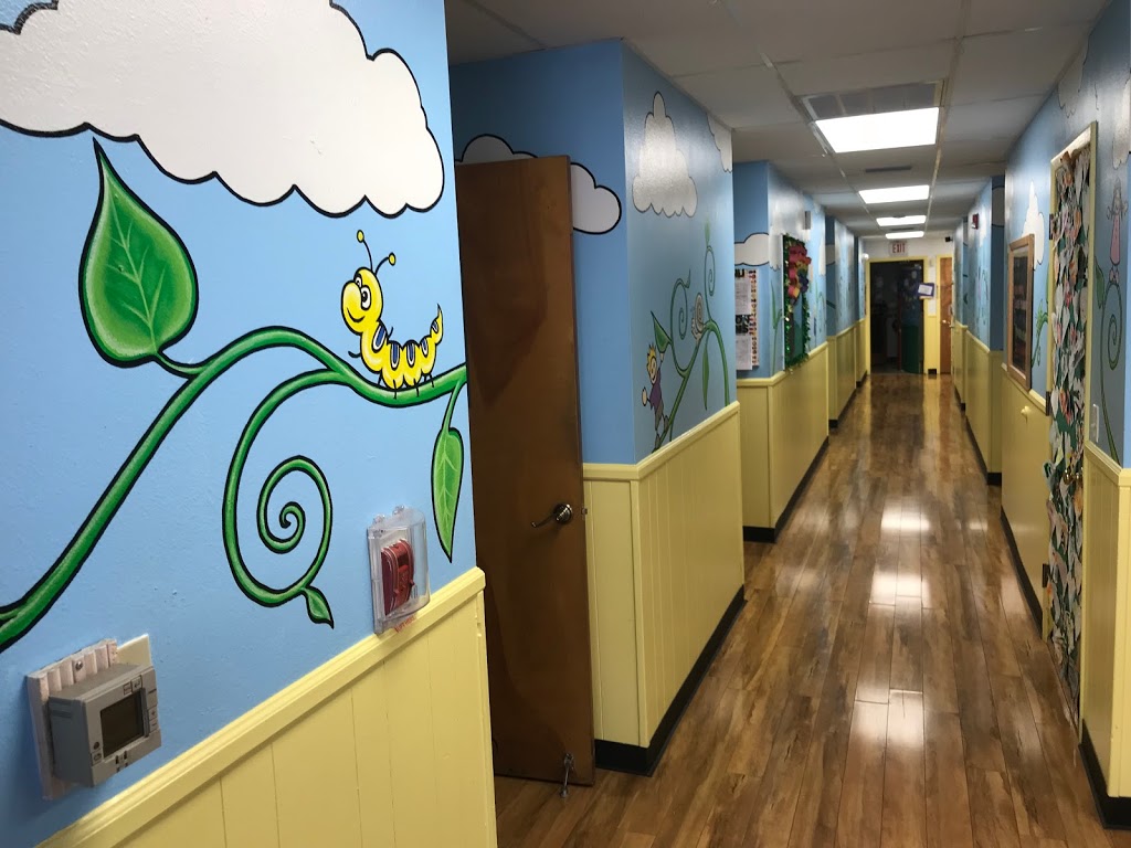 The Sprout Academy - Clearwater | 1419 Sunset Point Rd, Clearwater, FL 33755 | Phone: (727) 461-1001