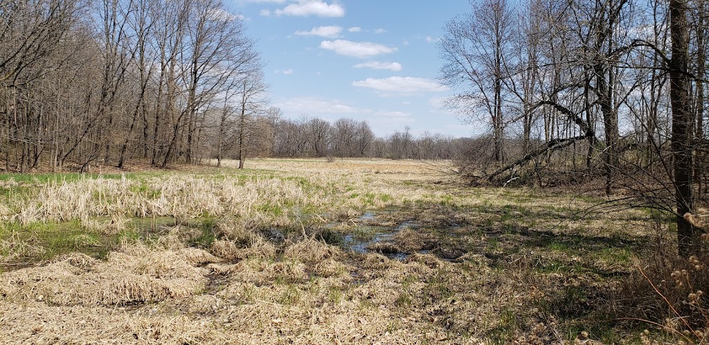 Hardwood Creek WMA | Forest Lake, MN 55025, USA | Phone: (651) 539-3307