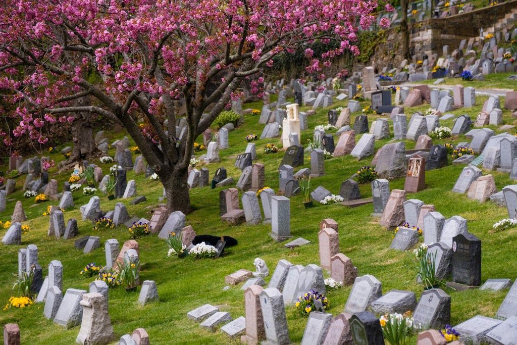 Hartsdale Pet Cemetery | 100 N Washington Ave, Hartsdale, NY 10530 | Phone: (914) 949-2583