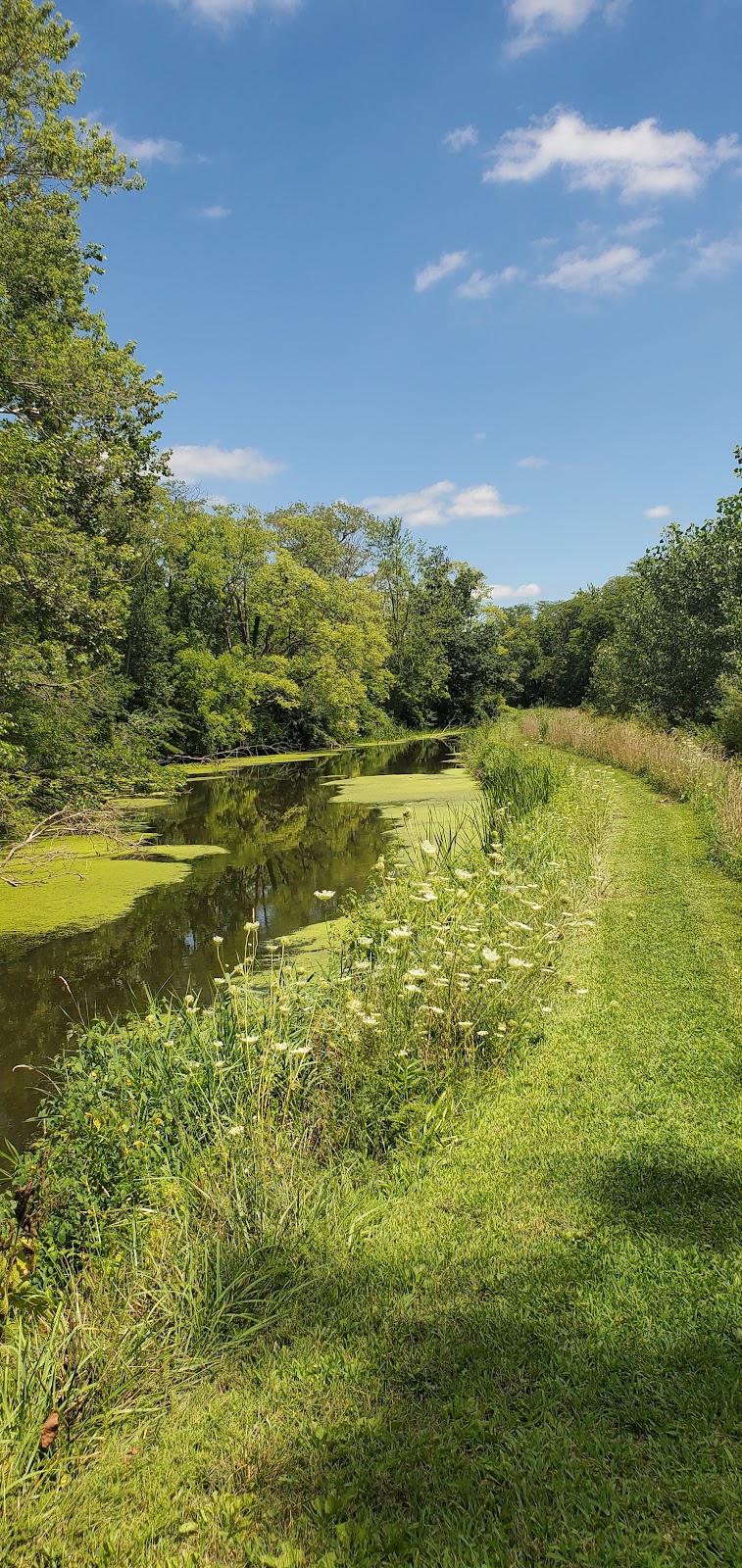 Benton Dam ‒ River Preserve County Park | 68552 Co Rd 31, New Paris, IN 46553, USA | Phone: (574) 535-6458