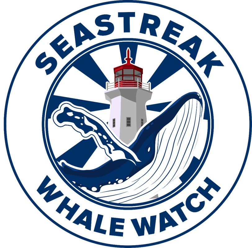 Seastreak Whale Watch | 325 Shore Dr, Highlands, NJ 07732, USA | Phone: (800) 262-8743