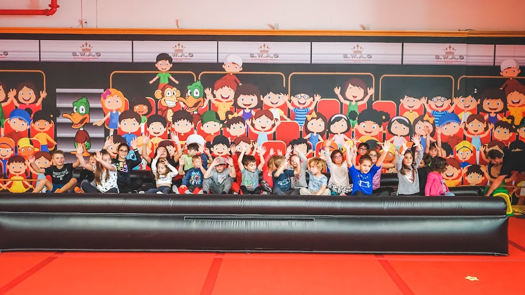 S.W.A.G Kids Gym | 7306 Haggerty Rd, West Bloomfield Township, MI 48322, USA | Phone: (248) 956-8945