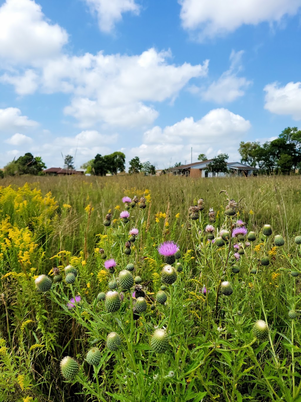 Spring Creek Prairie Audubon Center | 11700 SW 100th St, Denton, NE 68339, USA | Phone: (402) 797-2301