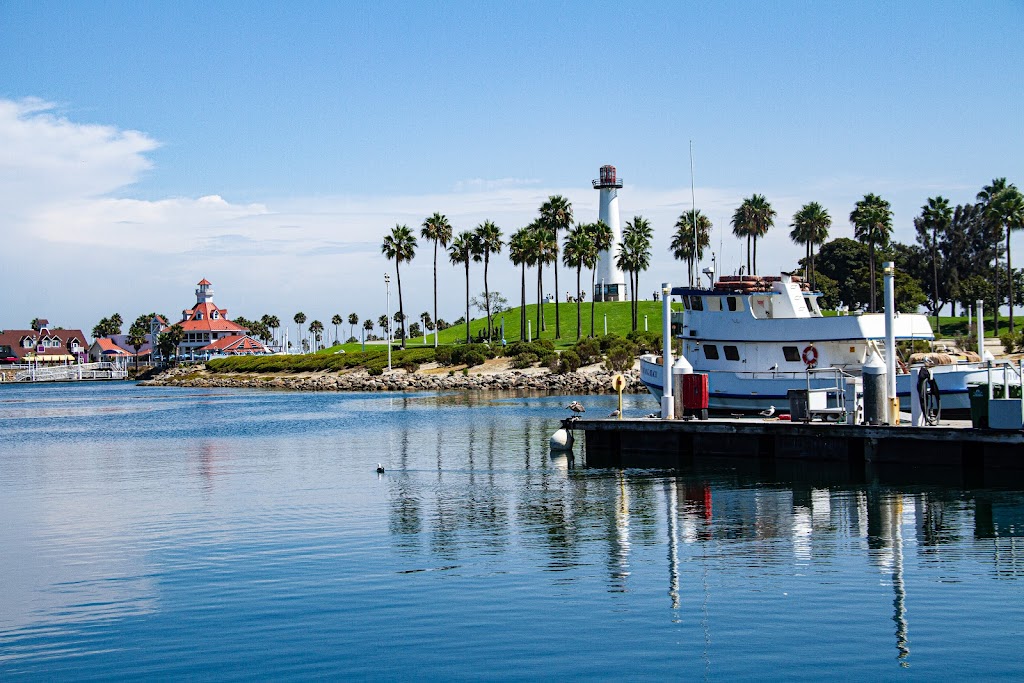 SoCal Whale Watching | 200 Aquarium Way, Long Beach, CA 90802, USA | Phone: (562) 472-9514