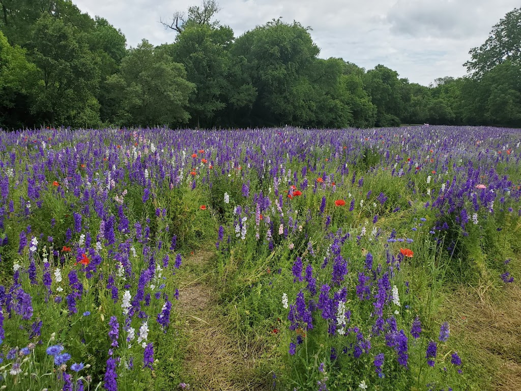 Prairie Creek Park | 2400 W Prairie Creek Dr, Richardson, TX 75080, USA | Phone: (972) 744-4300