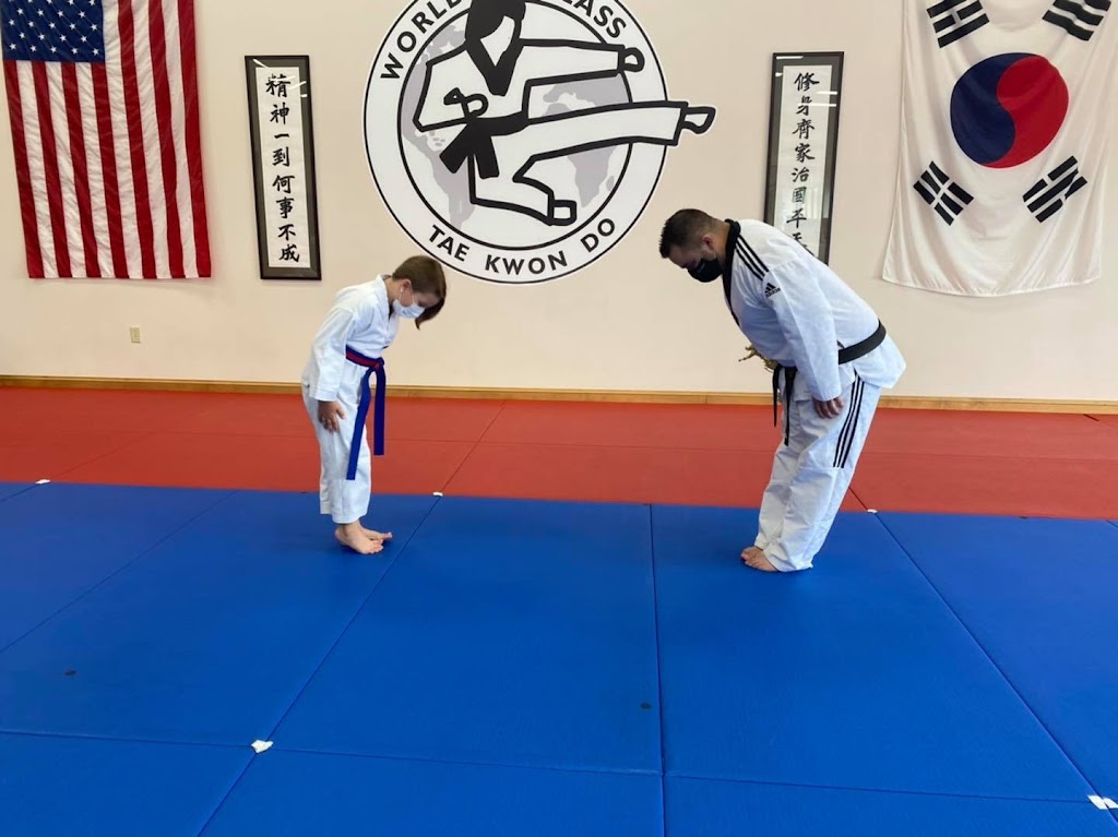 Master Chongs World Class Tae Kwon Do | 4905 Transit Rd, Depew, NY 14043, USA | Phone: (716) 656-7300