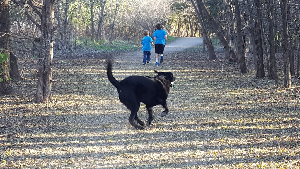 Elm Creek Park Reserve - Dog Off-leash Area | 11750 Zachary Ln N, Champlin, MN 55316 | Phone: (763) 694-7894