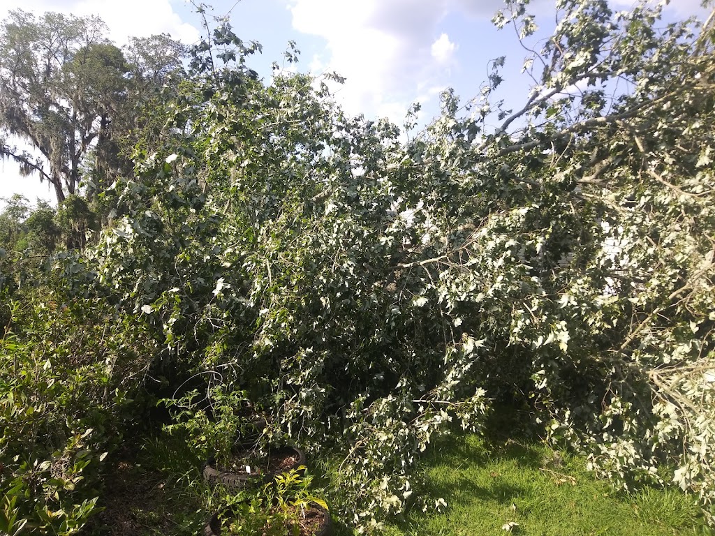 Oceanway Village | 489 Starratt Rd # L-111, Jacksonville, FL 32218, USA | Phone: (904) 696-2550