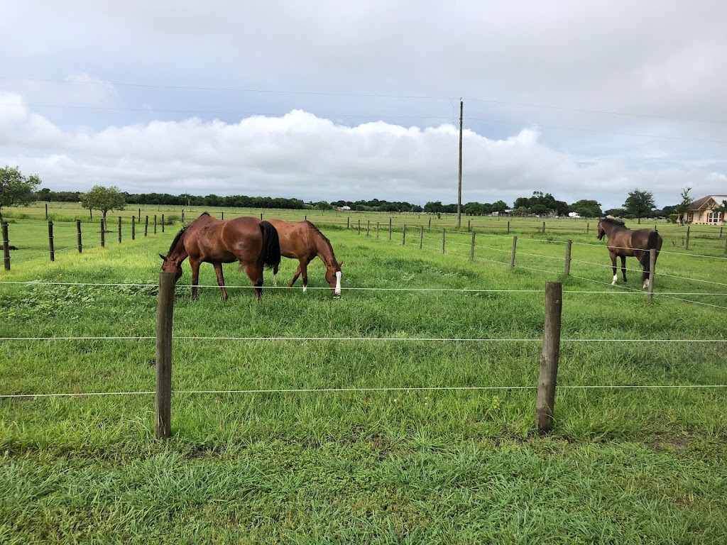 Quantum Hunters and Jumpers | 9335 Williams School Rd, Needville, TX 77461, USA | Phone: (832) 567-3202